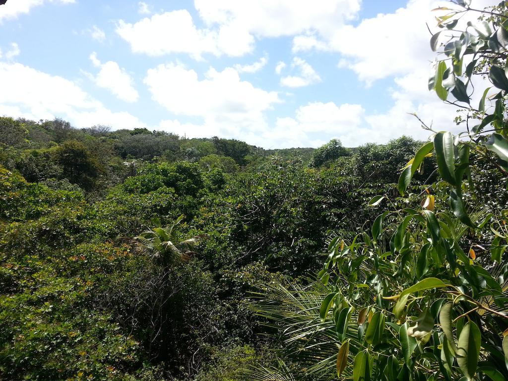 Villa Maree Praia de Pipa Eksteriør billede