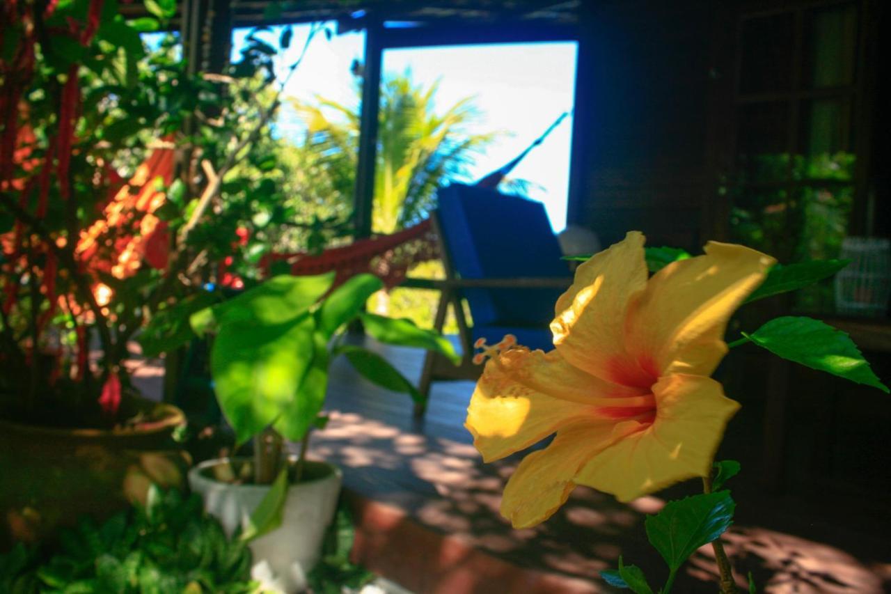 Villa Maree Praia de Pipa Eksteriør billede